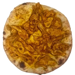 Shawarma Pizza